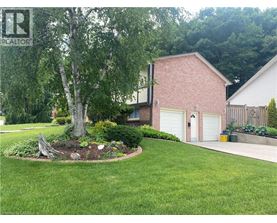 A tree in a landscaped yard in front of a house.