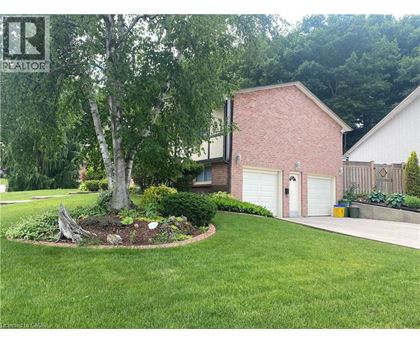 A tree in a landscaped yard in front of a house.