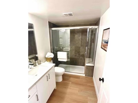 A bathroom with a walk in shower and a toilet.