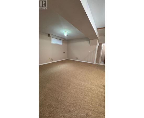 A room with a carpeted floor and a window.