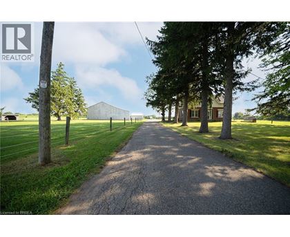 A gravel road with trees on both sides.