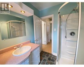 A bathroom with a sink, mirror, and shower.