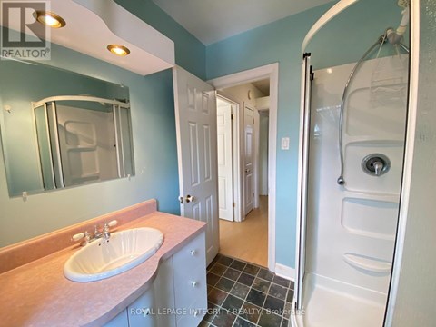 A bathroom with a sink, mirror, and shower.