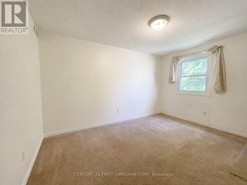 A room with a window and a carpeted floor.