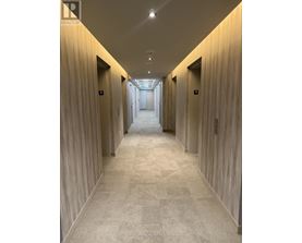 A long hallway with doors on both sides and a carpeted floor.