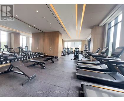 A gym with treadmills, weights, and exercise equipment.