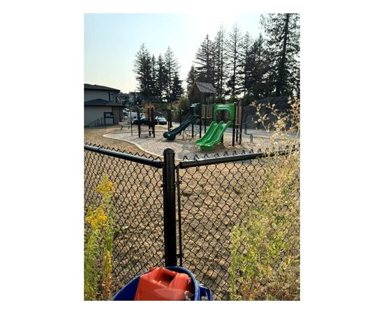 A playground with a green slide and a black fence.
