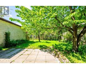 A backyard with a concrete walkway, a tree, and a building in the background.