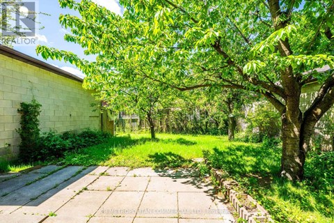 A backyard with a concrete walkway, a tree, and a building in the background.