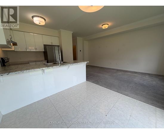 A kitchen with a countertop and cabinets is shown in this image.