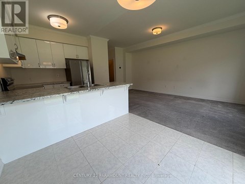 A kitchen with a countertop and cabinets is shown in this image.
