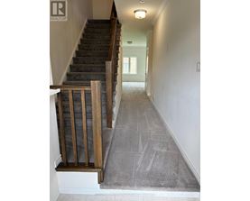 A hallway with a staircase and a carpeted floor.