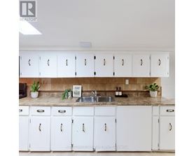 A kitchen with white cabinets and a countertop with a sink and plants.
