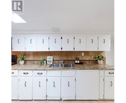 A kitchen with white cabinets and a countertop with a sink and plants.