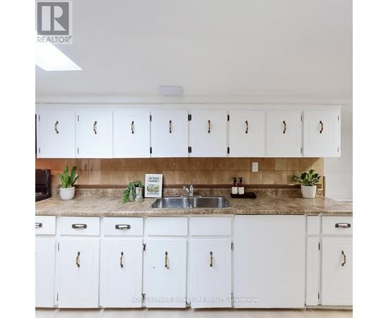 A kitchen with white cabinets and a countertop with a sink and plants.