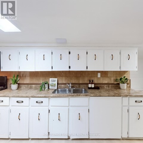 A kitchen with white cabinets and a countertop with a sink and plants.