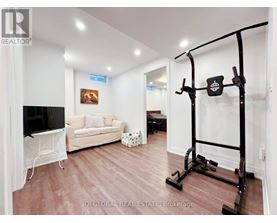 A living room with a television, couch, and a gym equipment.