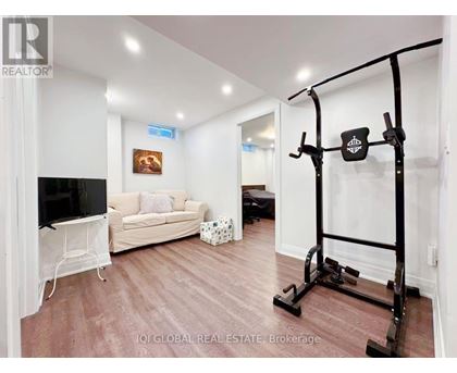 A living room with a television, couch, and a gym equipment.