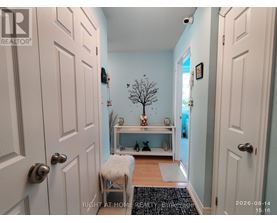 A hallway with a tree, a bench and a rug.