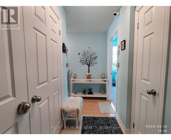 A hallway with a tree, a bench and a rug.