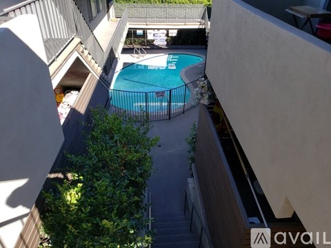 A small pool surrounded by a fence and trees.