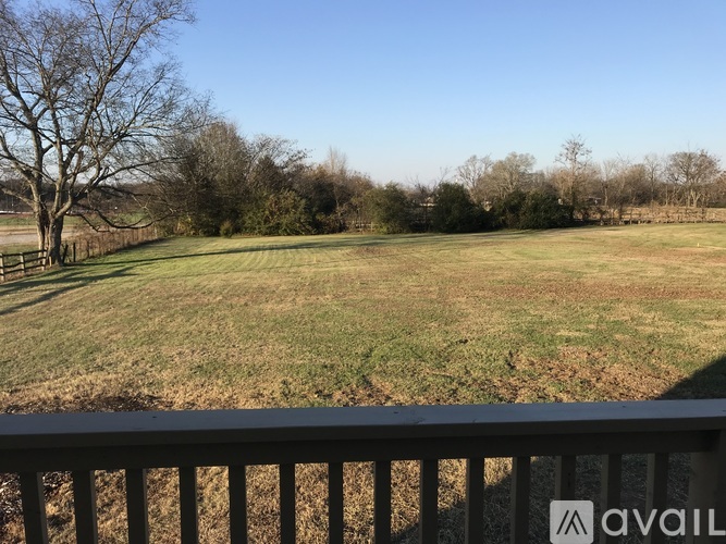 A grassy field with trees in the distance and a wooden fence in the foreground.