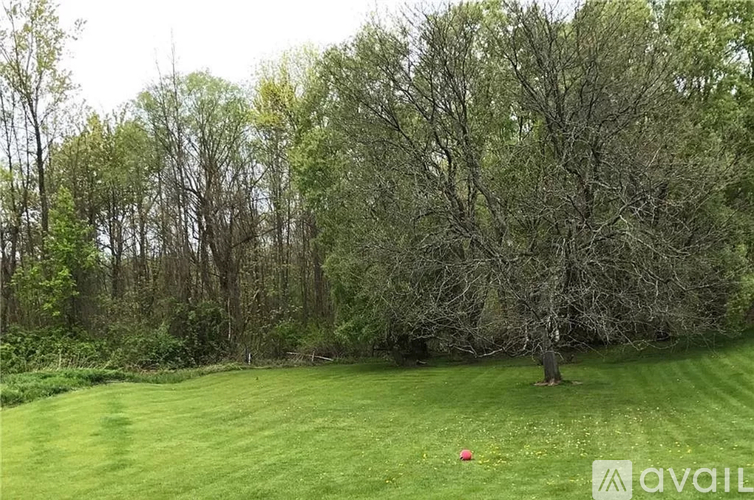 A grassy field with trees in the background and a red ball in the foreground.