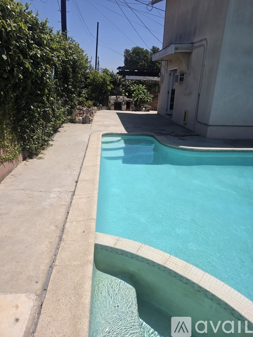 A small residential pool with a concrete edge and a concrete pathway leading to it.
