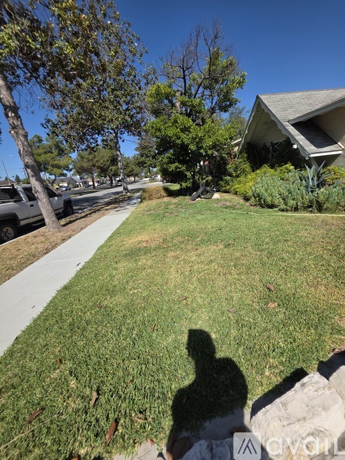 A shadow of a person is cast on a grassy area.