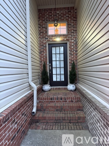 A house entrance with a black door and two potted plants.