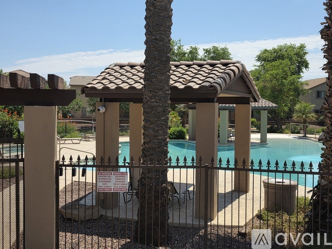 A pool area with a fence and a palm tree.