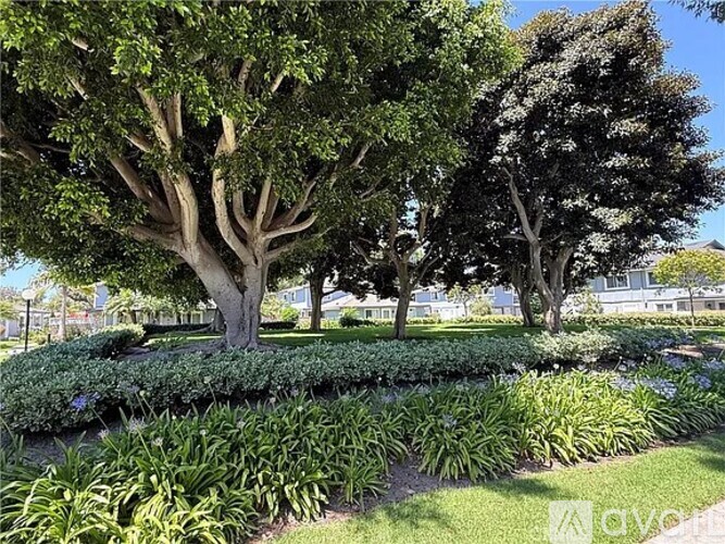 A garden with a row of trees and a hedge.
