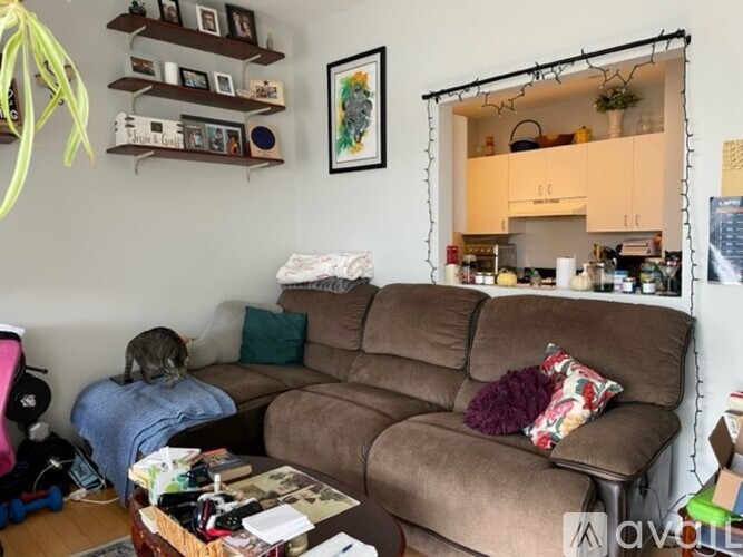 A cat is sitting on a couch in a living room.