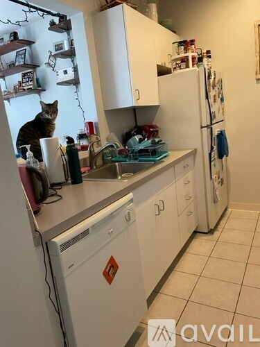 A cat is sitting on a kitchen counter.