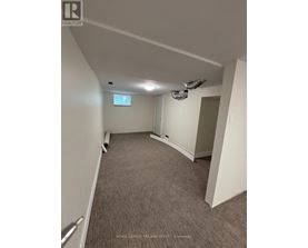A carpeted room with a window and a door.