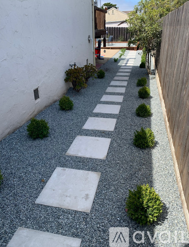 A gravel pathway with stepping stones and green plants on either side.