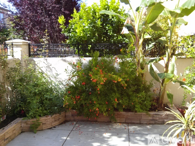3156 Ledoux Court 3 Beds Townhouse for Rent - Photo gallery 4