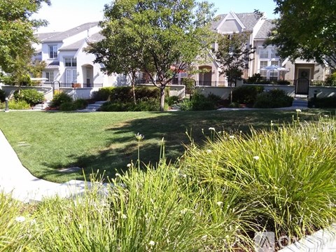 A grassy area in front of a house with a tree and bushes.