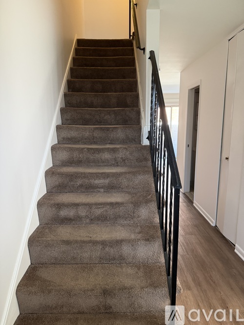 A staircase with a carpeted runner and a black railing.