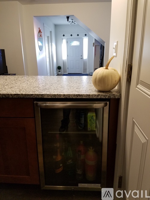 A white pumpkin is sitting on a granite countertop next to a stainless steel refrigerator.