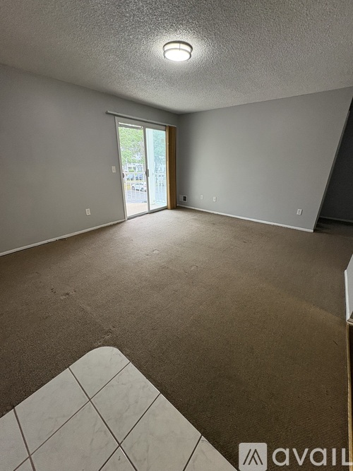 A room with a carpeted floor and a sliding glass door leading outside.