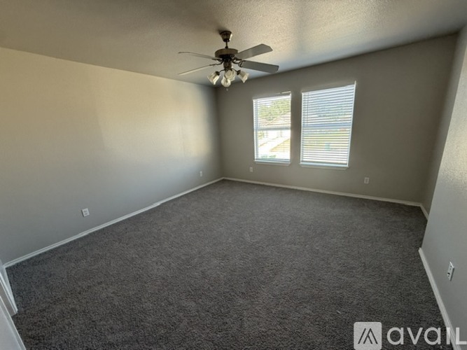 A room with a carpeted floor, a ceiling fan, and two windows.