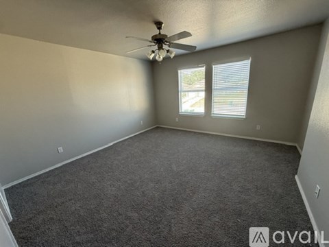 A room with a carpeted floor, a ceiling fan, and two windows.