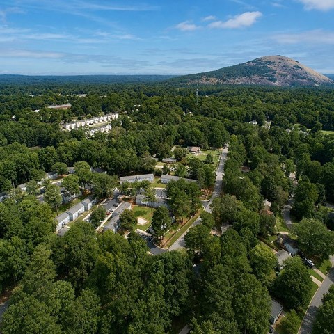A bird's eye view of a residential area surrounded by dense green trees.