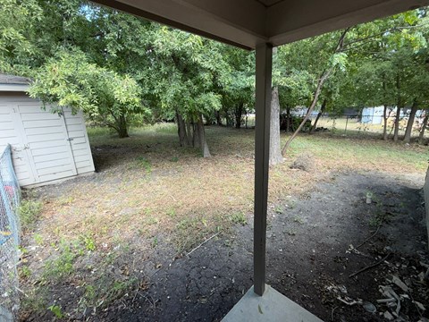 A backyard with a shed and trees.