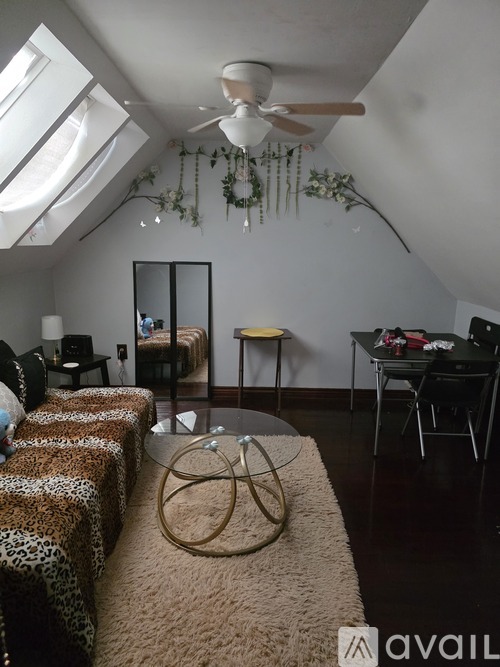 A living room with a leopard print sofa and a hanging plant.
