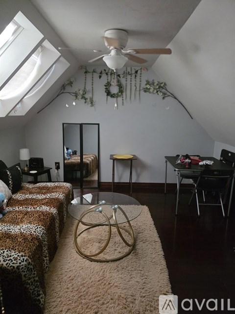 A living room with a leopard print sofa and a hanging plant.