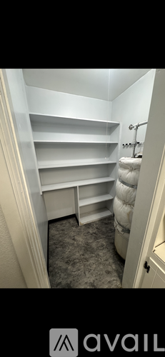 A white closet with shelves and a carpeted floor.