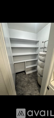 A white closet with shelves and a carpeted floor.