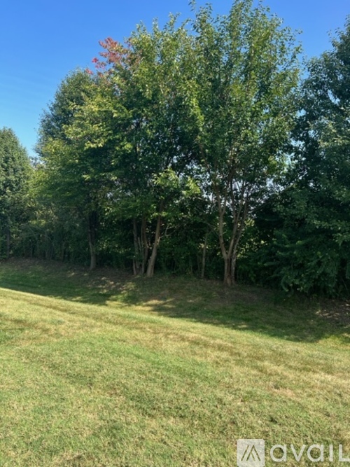 1123 Charles Lee Ct 2 Beds Condo for Rent - Photo gallery 4